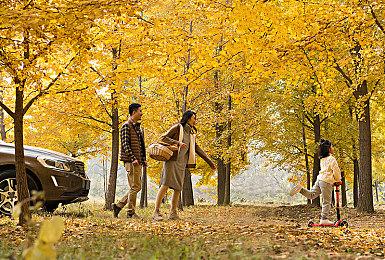 SE官宣：《最终幻想16》于6月11日发布售前庆祝直播